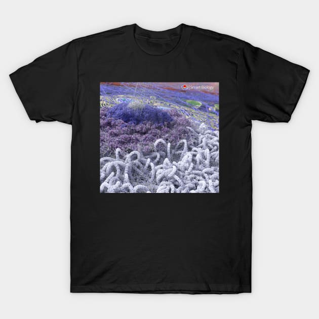 The Nucleolus T-Shirt by Smart Biology